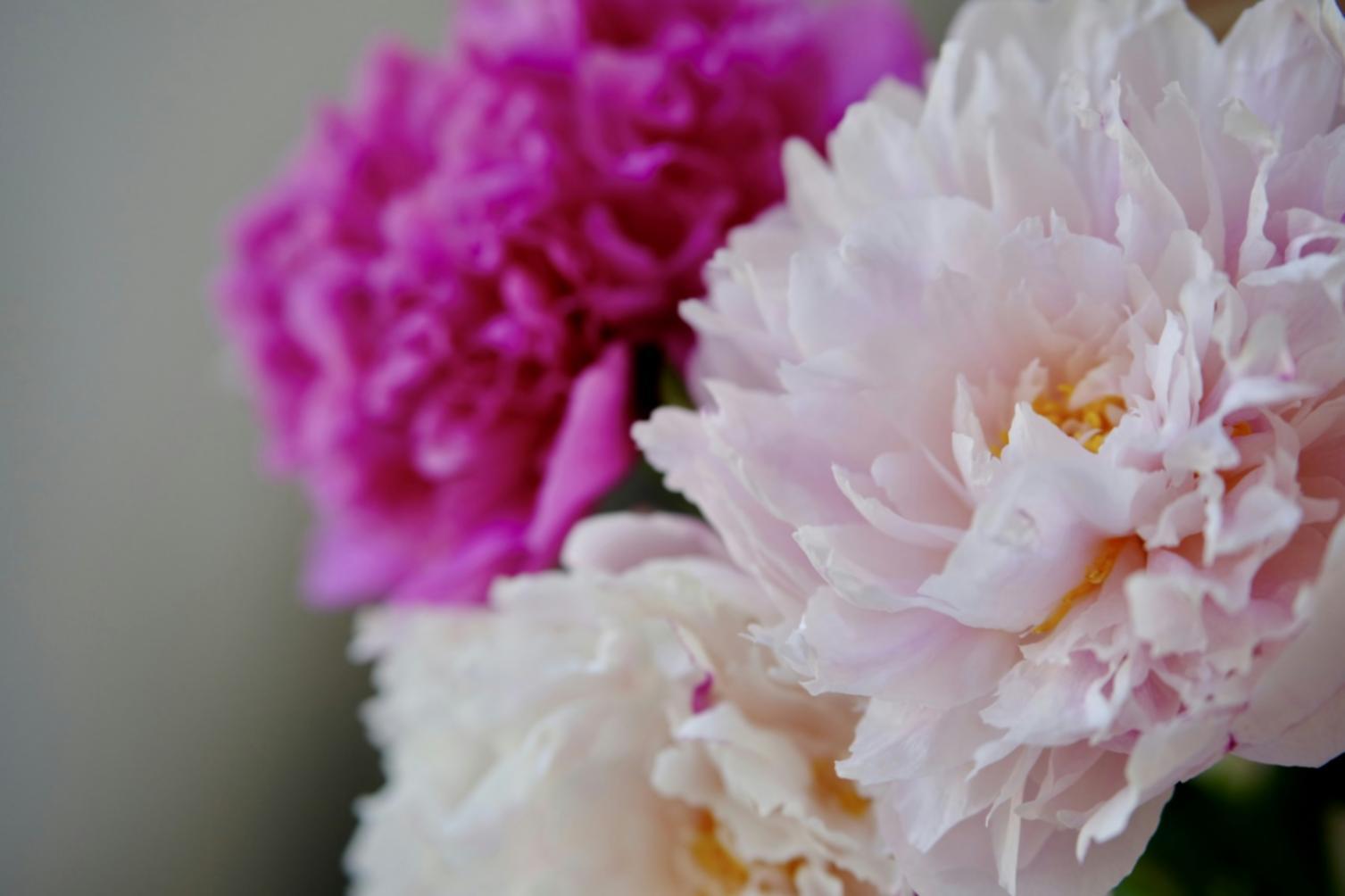 Творческая атмосфера флористических мероприятий